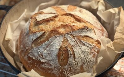 Sourdough Bread