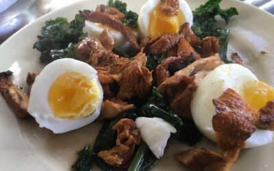 It’s Chanterelle Season in Northern California!