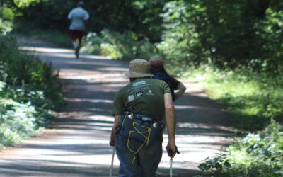 The Importance of Nature