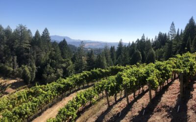 Yours Truly as Winery Chef…Join me!