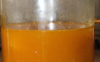 Fermented Foods and Fire Cider