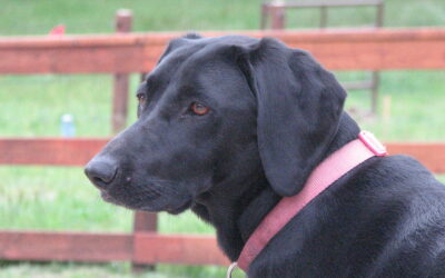 Decompress and Destress…