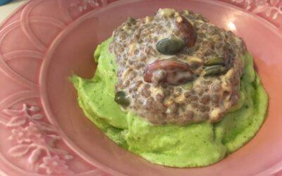 Melon Puree and Chia Pudding