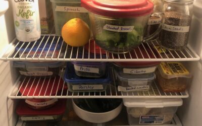 The Lessons of Coronavirus: Moving Forward