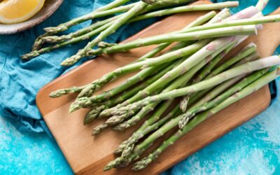 Asparagus: The Bastion of Spring