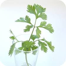 Heavy Metals: Health Impact and What to Do