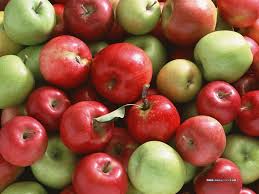 GM Apples