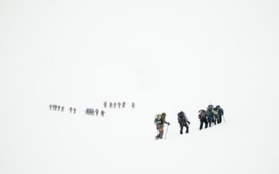 Connection and Health